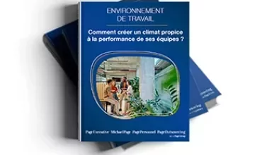 livre blanc sur l'environnement de travail et le bien etre au travail
